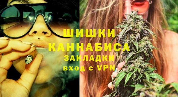 твердый Дмитров