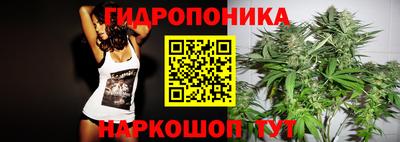 прущие грибы Балаково