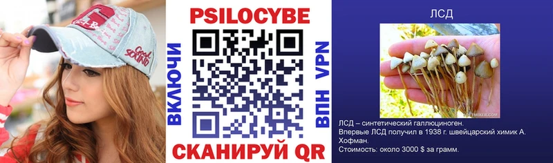 Галлюциногенные грибы Psilocybe kraken онион Вятские Поляны