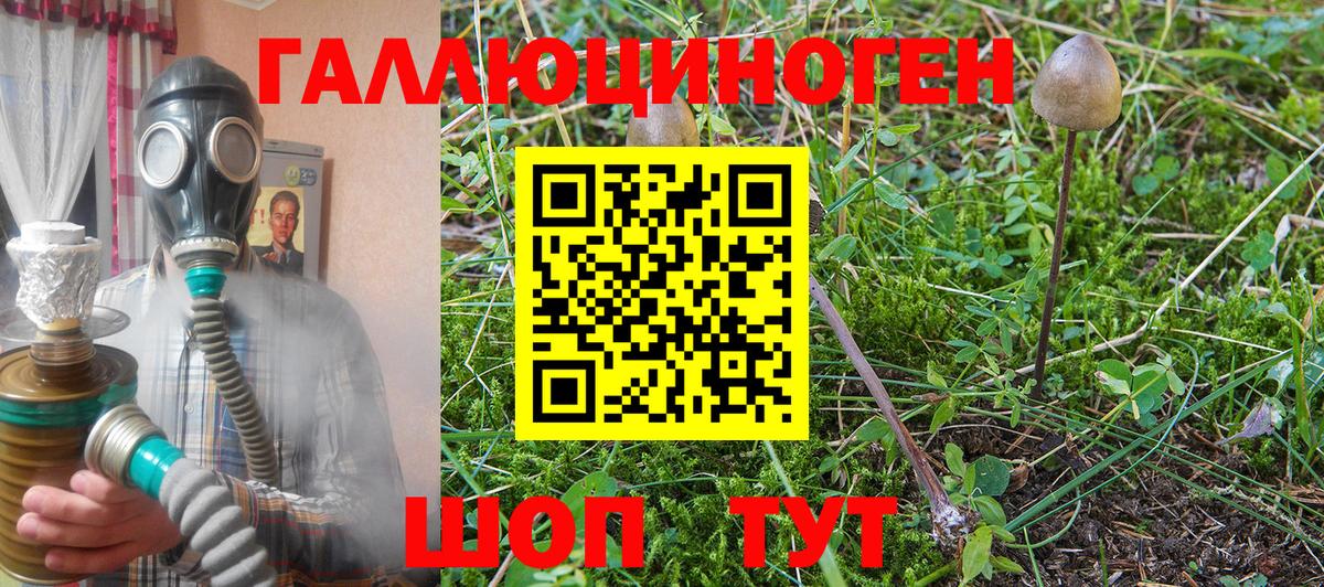 Псилоцибиновые грибы MAGIC MUSHROOMS Вятские Поляны