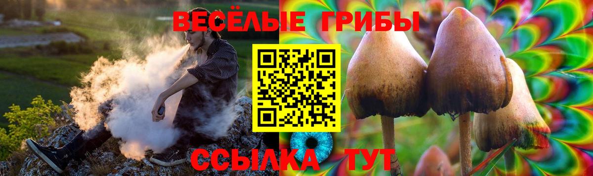 Галлюциногенные грибы мухоморы  Вятские Поляны 